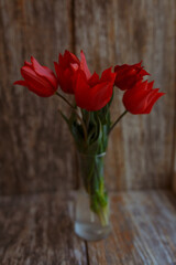 bouquet of red tulips in a vase