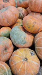 orange pumpkins color in supermarket