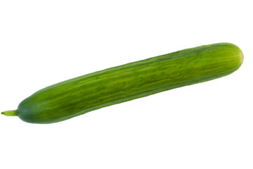 A long green cucumber on a white background. Isolate.