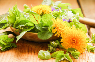 Essbare Blüten und Blätter Wildkräuter Wildkräutersalat Salat Kräuter Garten