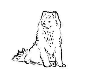 Big kind dog on a white background. Sketch. Vector illustration.
