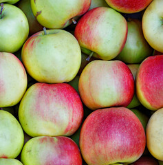 Harvesting red-green striped apples, stacked in order, close-up.