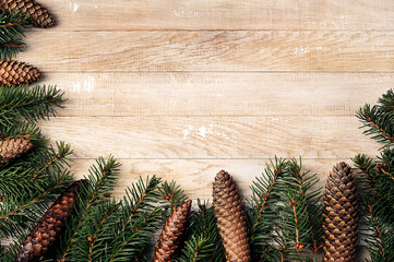 Christmas background with Christmas trees and cones