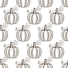 seamless pattern of vegetable pumpkins with leaves isolated on white background