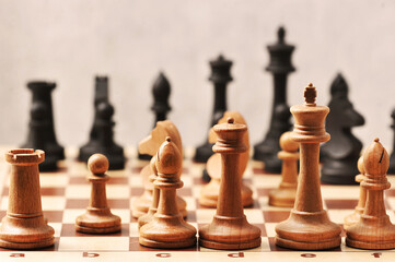 chess on a chessboard