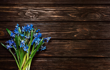 A bouquet of the first spring flowers of blue snowdrops on a dark wooden surface with copy space. Greeting card concept for mothers day, march 8 or anniversary
