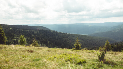 Fototapeta na wymiar The beautiful landscapes in Belis - Romania - Apuseni Mountains & Forest