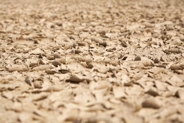 Brittle soil in the desert. There is definitely a lack of water here. Where is the next oasis so that man does not die of thirst on his long journey through the sandy desert?