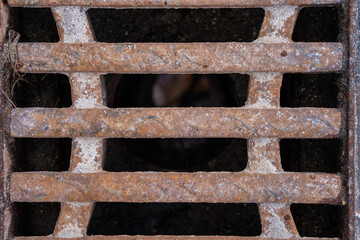 metal water drain cover grille