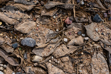 in the spring a close-up of the ground with old tree leaves and some stones