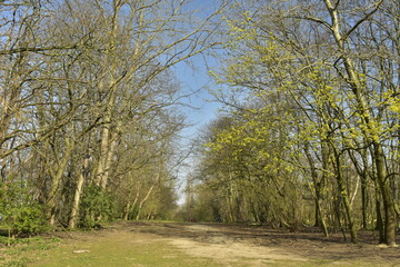 L'allée principale en terre traversant en longueur le parc Sint-Vincent à Evere