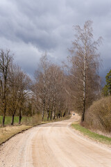Fototapeta na wymiar road on a sunny day that leads to a distance where there is a bend and many trees grow along the edges