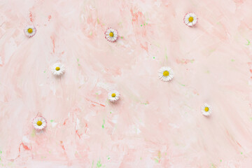 Fresh daisy flowers on pastel pink background. Spring concept. Minimalist flat lay, top view, copy space