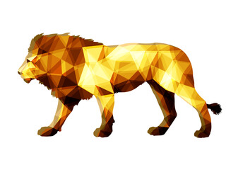 lion, isolated color image on a white background in the low poly style