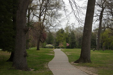 Straight concrete path in the path