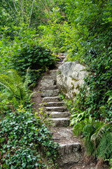 Obraz premium Stone Staircase with Green Plants