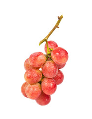 Branch of pink grapes close up isolated on white background.