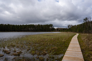 Obraz premium There are wooden footbridges along the lake where trees grow along the edges and there is a beautiful sky