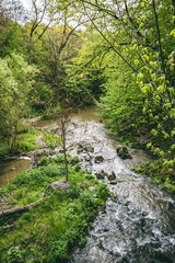 The amazing cliffs of Cheile Turzii in Romania