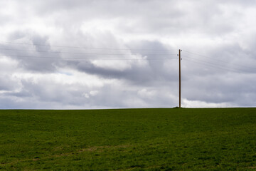 Fototapeta na wymiar large green cereal field landscape with electric pole and wires