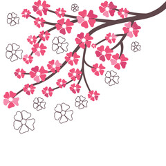 Branch of cherry flowers vector illustration on white background.