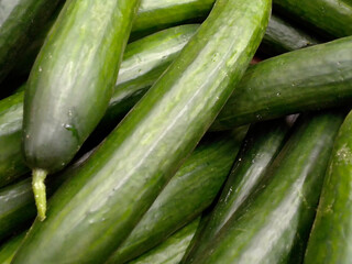 cucumber background . High quality photo