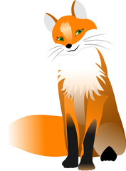fox