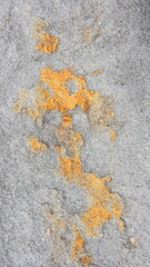 Natural painting on stone