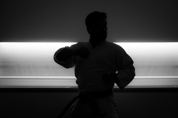 silhueta de homem em posição de defesa karate artes marciais com luz de fundo © Romano Alves