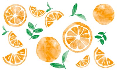 Orange Fruit Watercolor Clipart Patterns