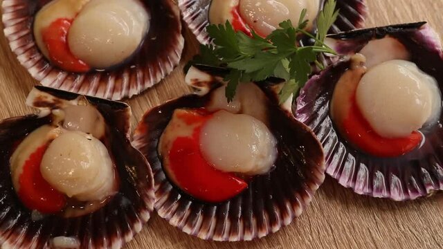 fresh scallops raw in their shell