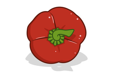 Fresh bell pepper. Vector paprika. Red sweet pepper. background