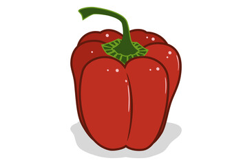 Fresh bell pepper. Vector paprika. Red sweet pepper.