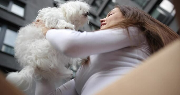 Happy pretty young woman takes a Maltese dog out of a pet box.