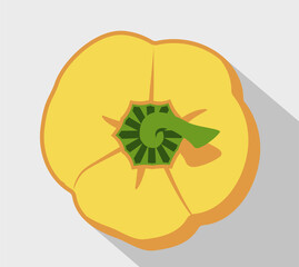 Fresh bell pepper. Vector paprika. Yellow sweet pepper.
