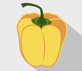 Fresh bell pepper. Vector paprika. Yellow sweet pepper.