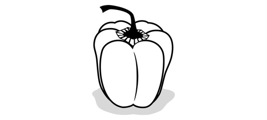Fresh bell pepper. Vector paprika. Black and white sweet pepper.