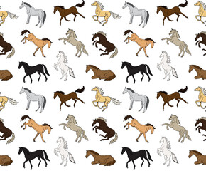 Vector seamless pattern of different color hand drawn doodle sketch horse isolated on white background