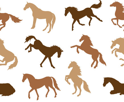 Vector seamless pattern of different color hand drawn horse silhouette isolated on white background