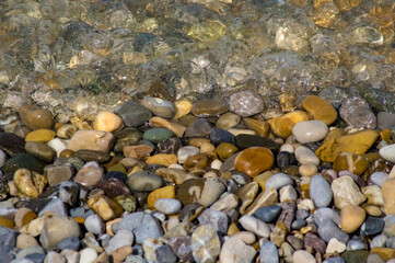 Kiesstrand, Seeufer, Starnberger See, Bayern, Deutschland