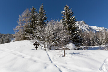 Spuren im Schnee, La Villa, Alta Badia, Dolomiten, Südtirol, Alto Adige, Italien