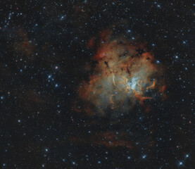 Fototapeta na wymiar Nebulosa NGC 1491 