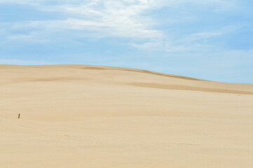 Dunes of Leba in the desert of Slowinski National Park, Poland