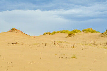 Dunes of Leba in the desert of Slowinski National Park, Poland