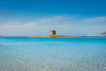 Fotobehang La Pelosa Strand, Sardinië, Italië Het prachtige strand van La Pelosa op Sardinië