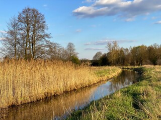 landscape with river, Poland nature