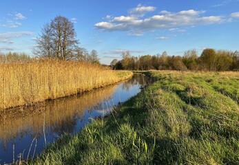 landscape with river, Polish nature