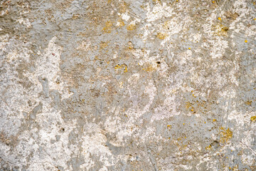 Concrete wall covered with moss, background for designer. Rough stone texture.