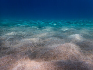 Sandy Ocean Floor Under Clear Blue Water Low Angle Underwater - 431076728