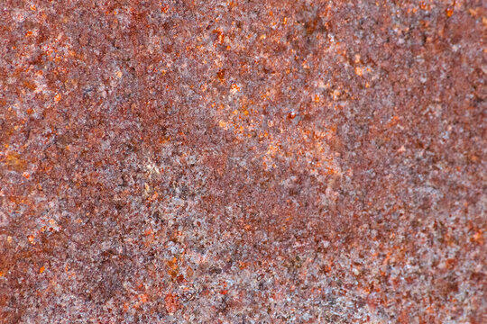 Rustic Elegance: Capturing the Beauty of Rust